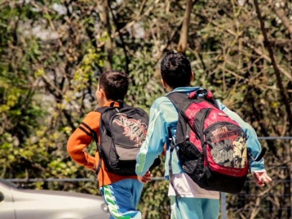 Educação em Louveira