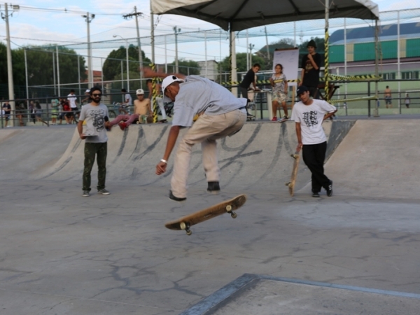 Festival de Skate 11.jpg