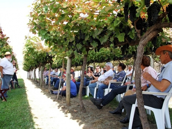 Dia de Campo Vinícola Micheletto 19.jpg