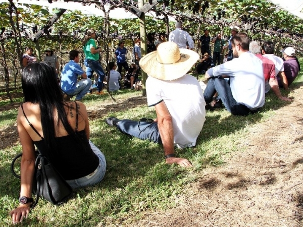 Dia de Campo Vinícola Micheletto 23.jpg