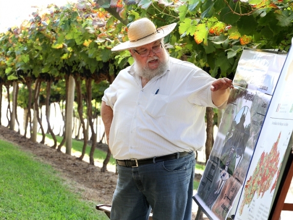 Dia de Campo Vinícola Micheletto 16.jpg