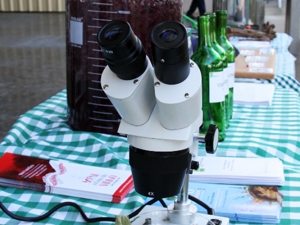 Dia de Campo Vinícola Micheletto 11.jpg