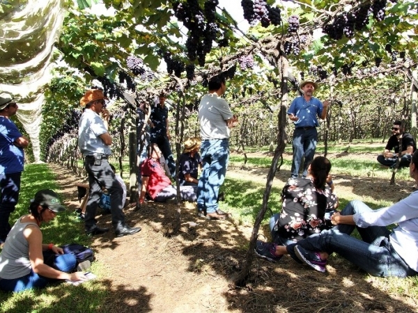 Dia de Campo Vinícola Micheletto 25.jpg