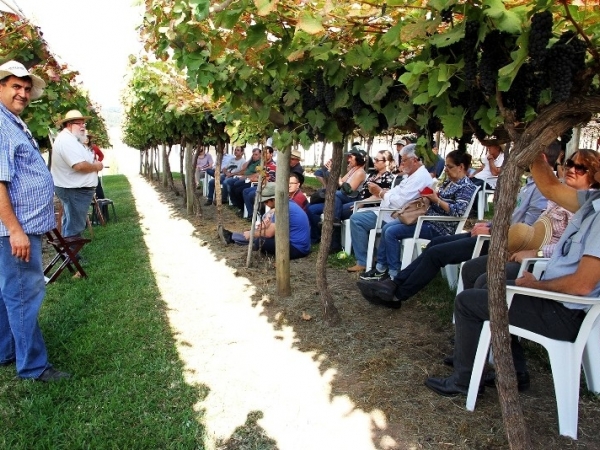 Dia de Campo Vinícola Micheletto 20.jpg