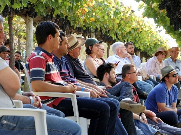 Dia de Campo Vinícola Micheletto 17.jpg