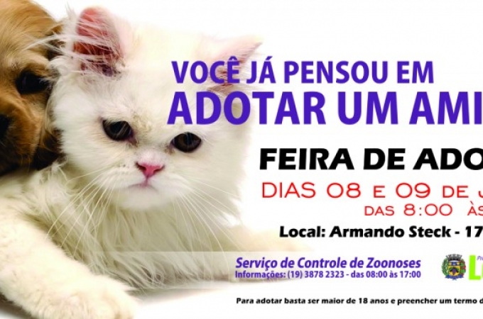 Foto: Internet