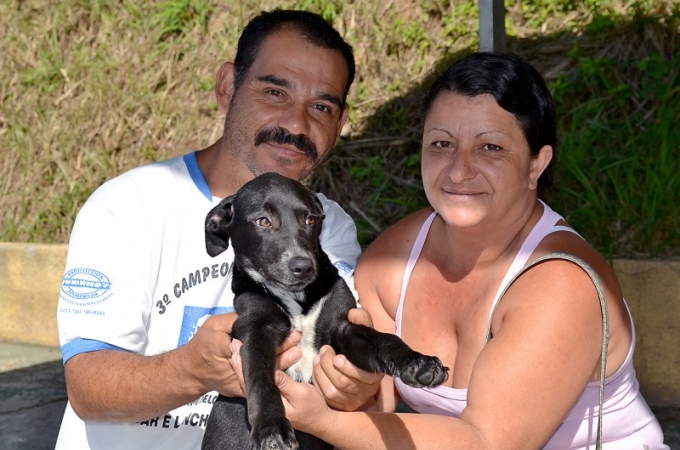 ADOÇÃO_ANIMAIS