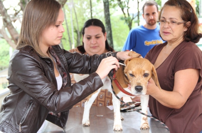 Vacinação contra Raiva Animal