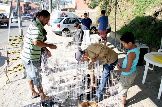 Foto: Divulgação / PML