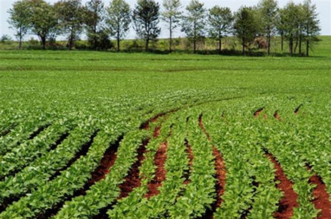 Foto: Divulgação / PML